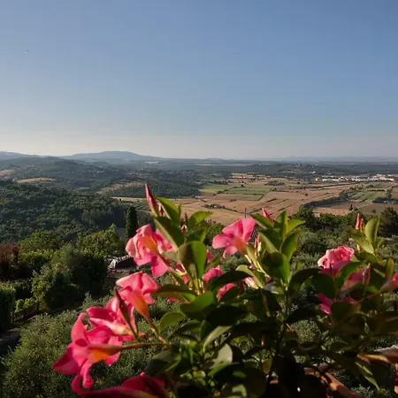 Torre Dei Serviti Lantställe Siena